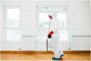 Top 5 Reasons to Opt for Professional Pest Control